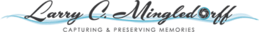 Larry Mingledorff
